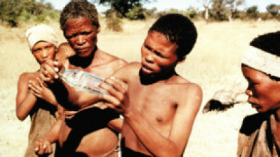 Imagen de Los dioses deben estar locos - 5