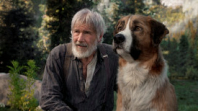 Imagen de La llamada de lo salvaje - 5