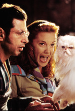 Imagen de Como perros y gatos - 4