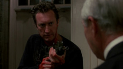 Imagen de F/X, efectos mortales - 5