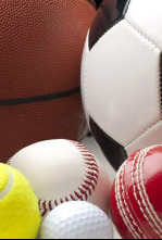 Imagen de Argentina Padel Tour (2): Posadas Semifinal 1 - 4