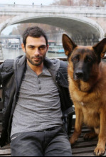 Imagen de Rex, un policía... (T16): Ep.8 Noche en blanco - 4