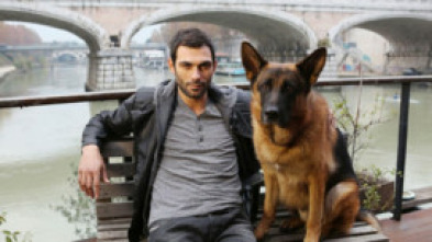Imagen de Rex, un policía... (T16): Ep.6 Tango asesino - 5