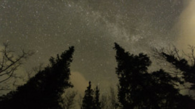 Imagen de Los más letales de Alaska: el acecho del depredador - 8