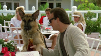 Imagen de Superagente K-9 - 5