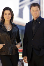 Imagen de C.S.I. NY (T9): Ep.9 Desangrado - 4