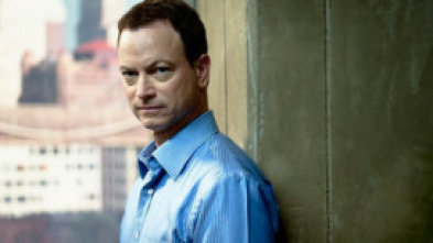 Imagen de C.S.I. Nueva York (T6) - 5