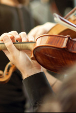 Imagen de Concierto Novena Sinfonía de Beethoven - 4