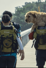 Imagen de Arthur - 4