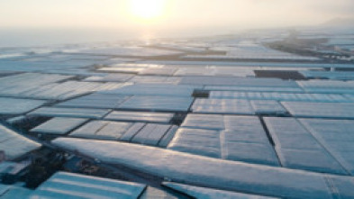 Imagen de The Price of Progress - 5