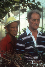 Imagen de Cocoon - 4