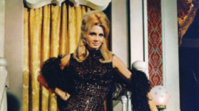 Imagen de Pistolero - 5