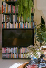 Imagen de Nunca es demasiado pequeño  - 4