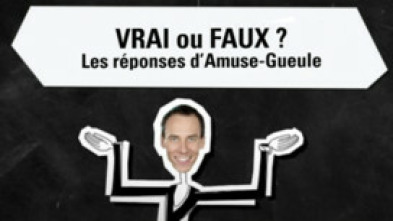 Imagen de Vrai ou faux ? - 5