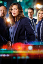 Imagen de Ley y orden:... (T19): Ep.7 Ha pasado algo - 4