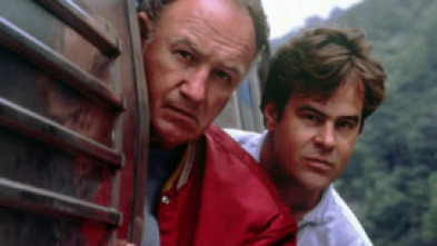 Imagen de Dos polis guillats - 5