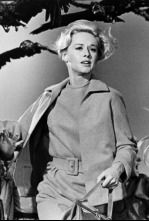 Imagen de Els ocells - 4