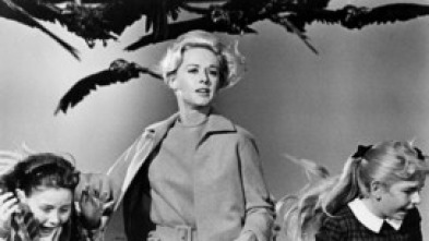 Imagen de Els ocells - 5