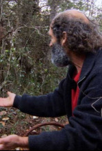 Imagen de El señor de los bosques - 4