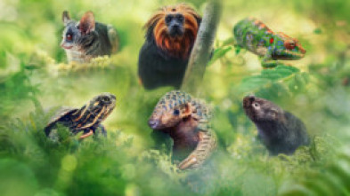 Imagen de Pequeños viajes animales: Hogar - 5