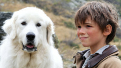 Imagen de Belle y Sebastián - 5