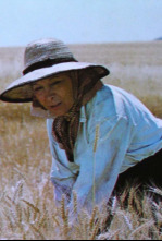 Imagen de Tierra de rastrojos - 4