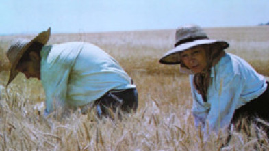 Imagen de Tierra de rastrojos - 5