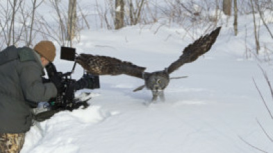 Imagen de Misisipi salvaje  - 5