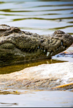 Imagen de Del amanecer al crepúsculo: Ep.1 - 4