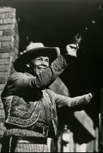 Imagen de Diligencia a Tucson - 4