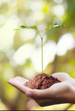 Imagen de Ríos (T1): Guadalquivir - 4