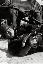 Imagen de Alambradas de violencia - 4