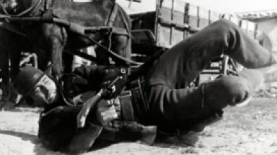 Imagen de Alambradas de violencia - 5