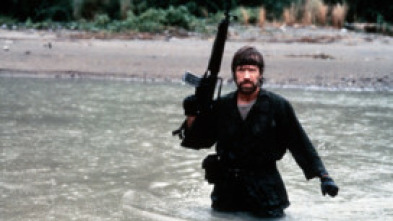 Imagen de Desaparecido en combate - 5