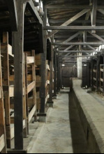 Imagen de Ana Frank: La historia jamás contada - 16