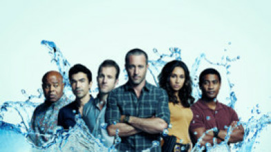 Imagen de Hawai 5.0 (T10): Ep.9 Ka la'au kumu 'ole o Kahilikolo (El árbol sin tronco de Kahilokolo) - 5