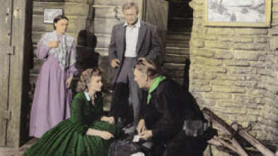 Imagen de Los forasteros - 5