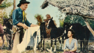 Imagen de Estación Comanche - 5