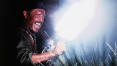 Imagen de Los perros de la guerra - 5