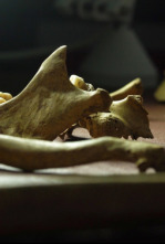 Imagen de El ADN perdido - 4