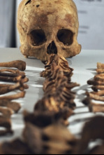 Imagen de Los incas: auge y...: La edad de oro - 5