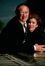 Imagen de Testigo accidental - 4