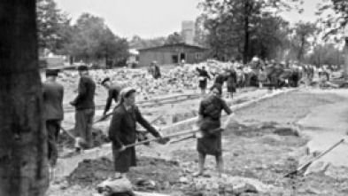 Imagen de Auschwitz, des survivants racontent - 5