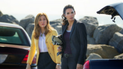 Imagen de Rizzoli & Isles (T7): Ep.2 Curvas  Peligrosas - 5