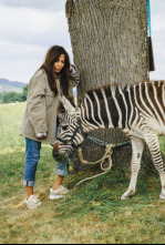 Imagen de Una cebra en el equipaje - 4