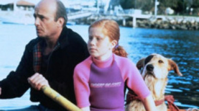 Imagen de Sherlock: el perro detective - 5