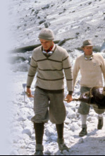 Imagen de Cinco días, un verano - 4