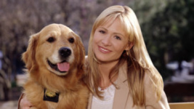 Imagen de Sue Thomas: el... (T3): Ep.15 El caza recompensas - 5