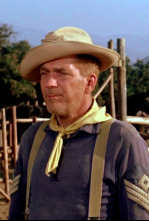 Imagen de 40 rifles en el Paso Apache - 4