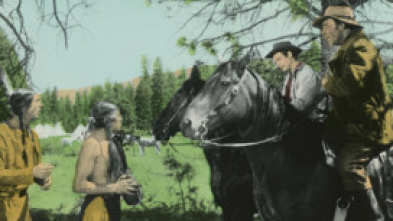 Imagen de Pacto de honor - 5